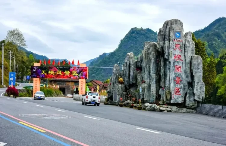 a56d8d99d3173906b087374e9c401a15-sz_149350