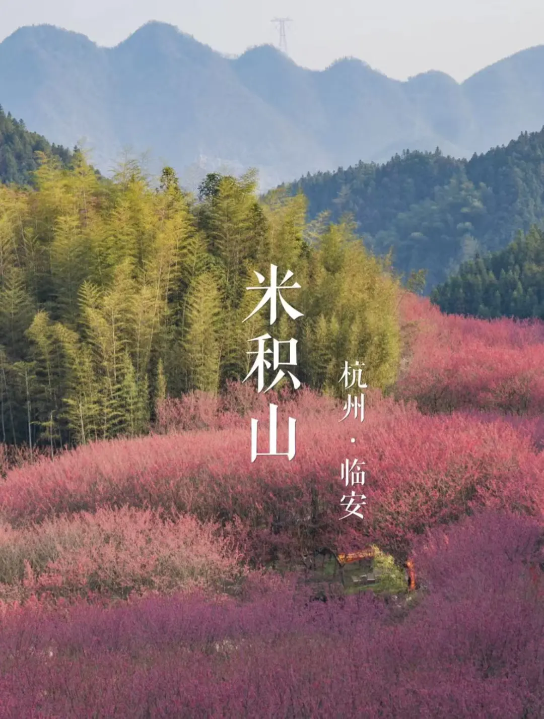 a6106c3d2a10f97d95ca852cfa937958-sz_245788-2