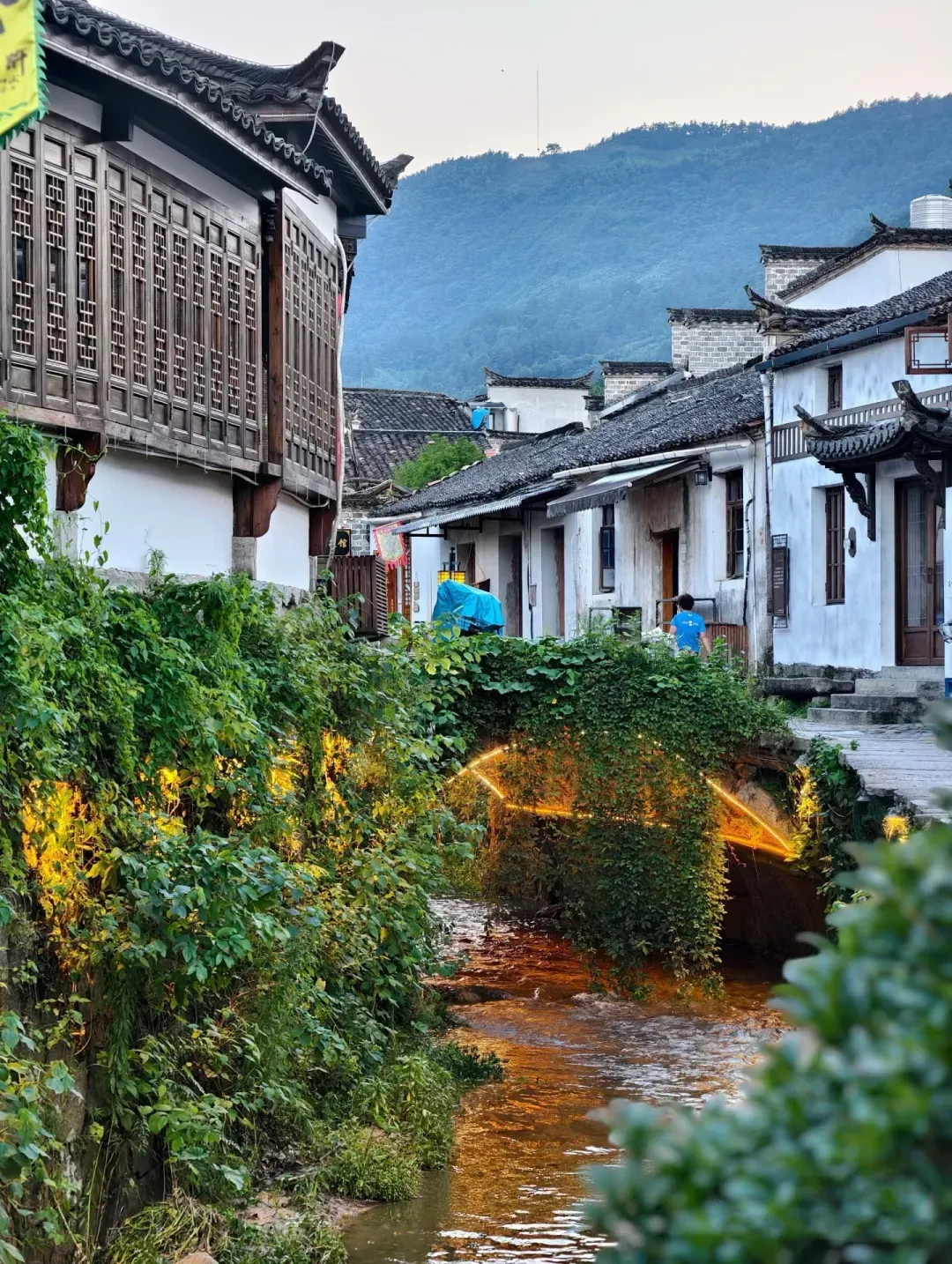 a6eaf79ffc81a0d5c8233305ffe041c6-sz_2960024