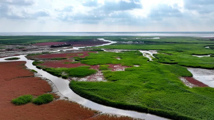 a731e17a83d44cb75ef7fd6c38990363-sz_146879