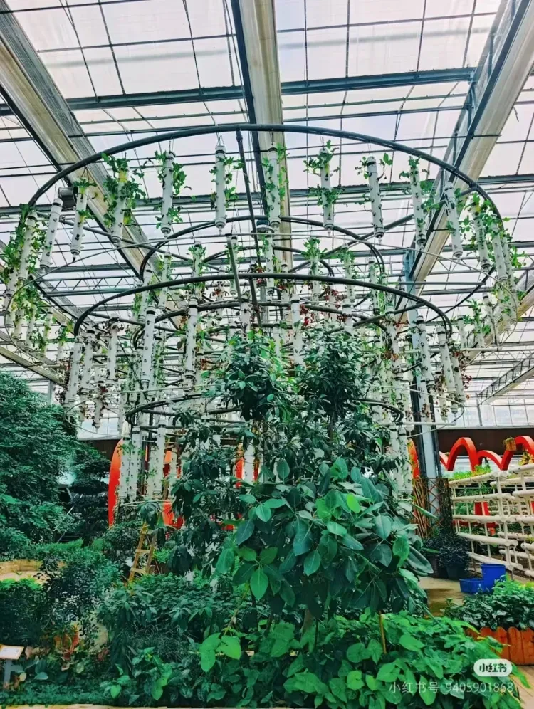 a741513471c4d1ba30d0ab86db5a914b-sz_1616436