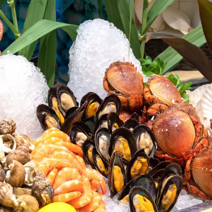 a75b9620d52a4487c423dc5a10212bf2-sz_1344236