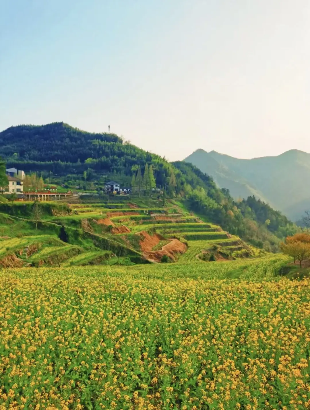 a7d97c8e979d24e5a3191c45c77176a7-sz_279026-2