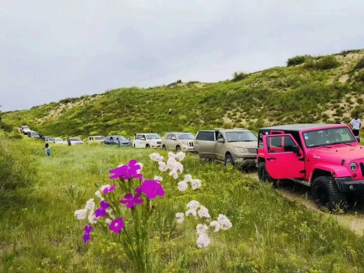 a8146df2b2c910a9dec884d6848aefb4-sz_2732425