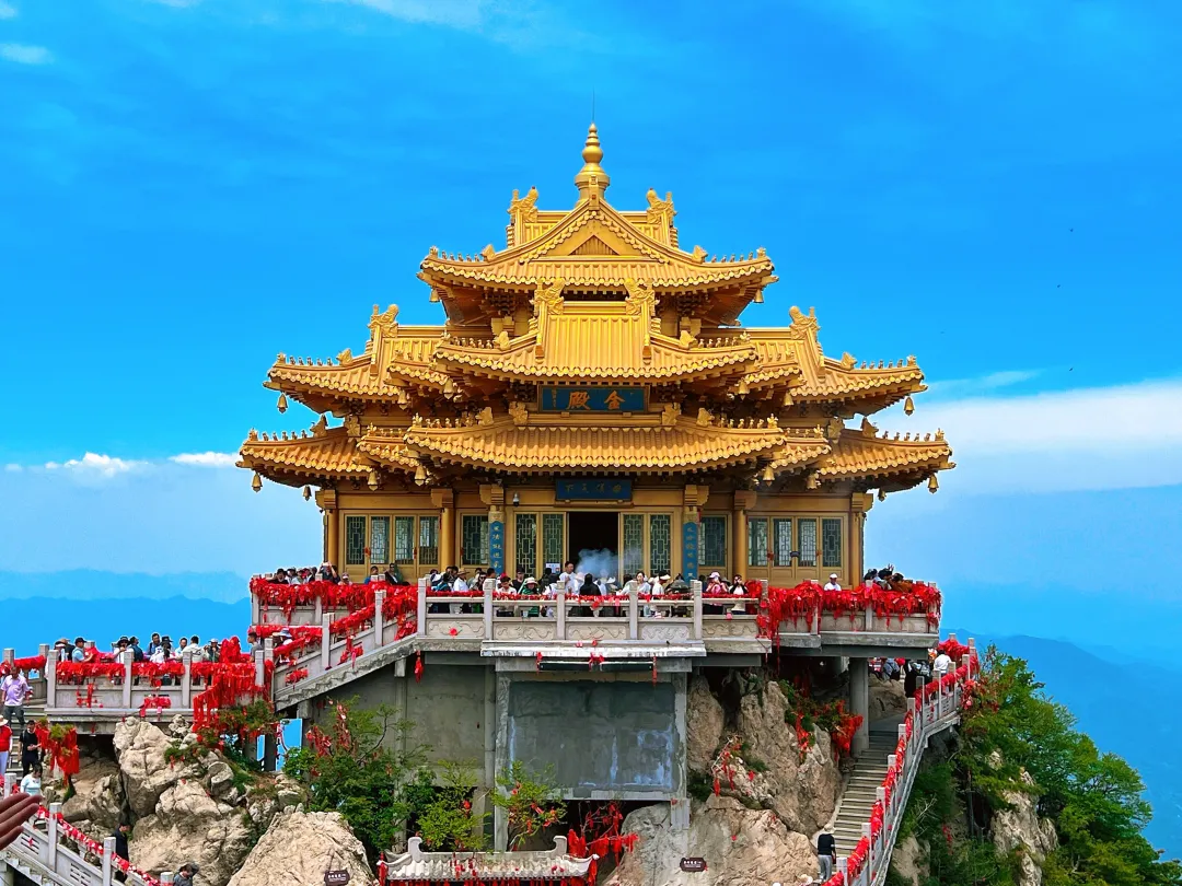 a8151996cea751b13a630f6a06549fb6-sz_1215220