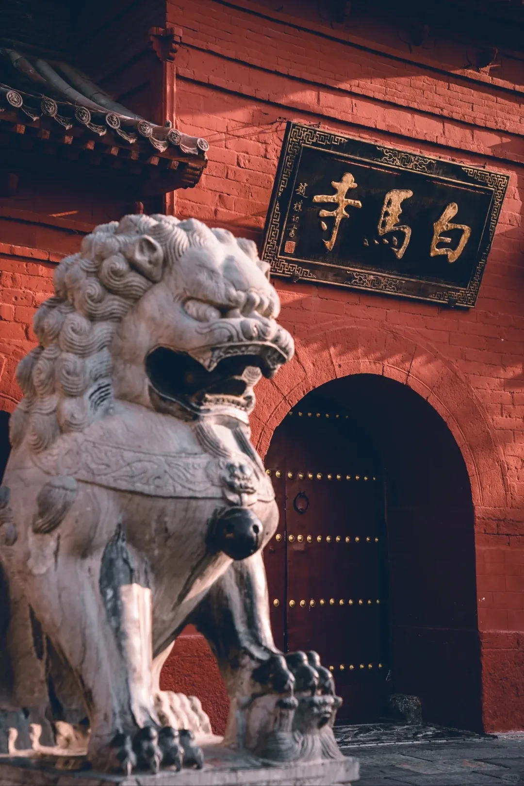 a8279126dc1a39a7f801c9e5a901e687-sz_962113