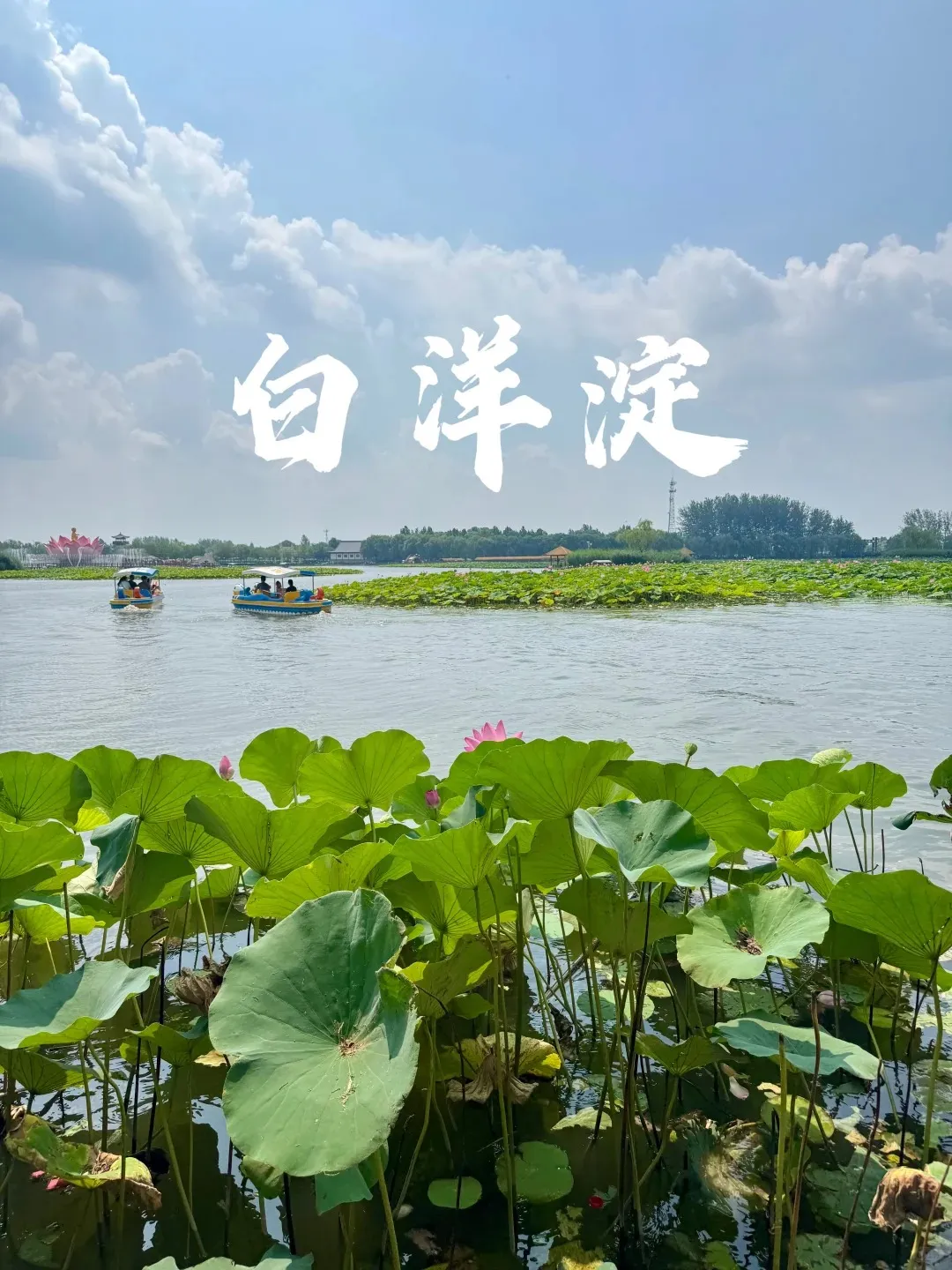 a838a762021b7d8da8305c738b3fe75e-sz_388500