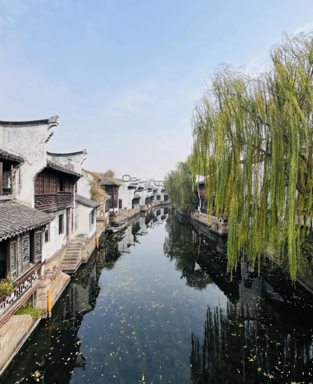 a8909ef43620657527ce29a1ea9b02c3-sz_1113036