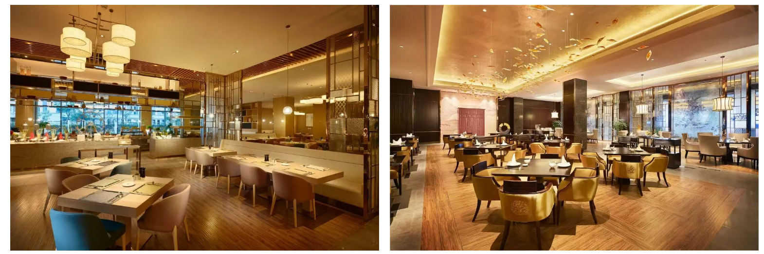 a89a03bdd98ec75de5ac5b130eee21ff