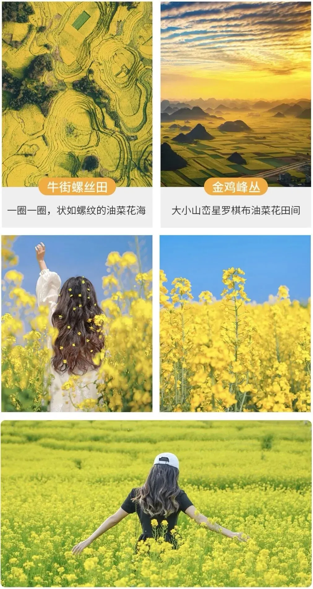 a8c20774600576a8af732f31e4b6e8ab-sz_346040