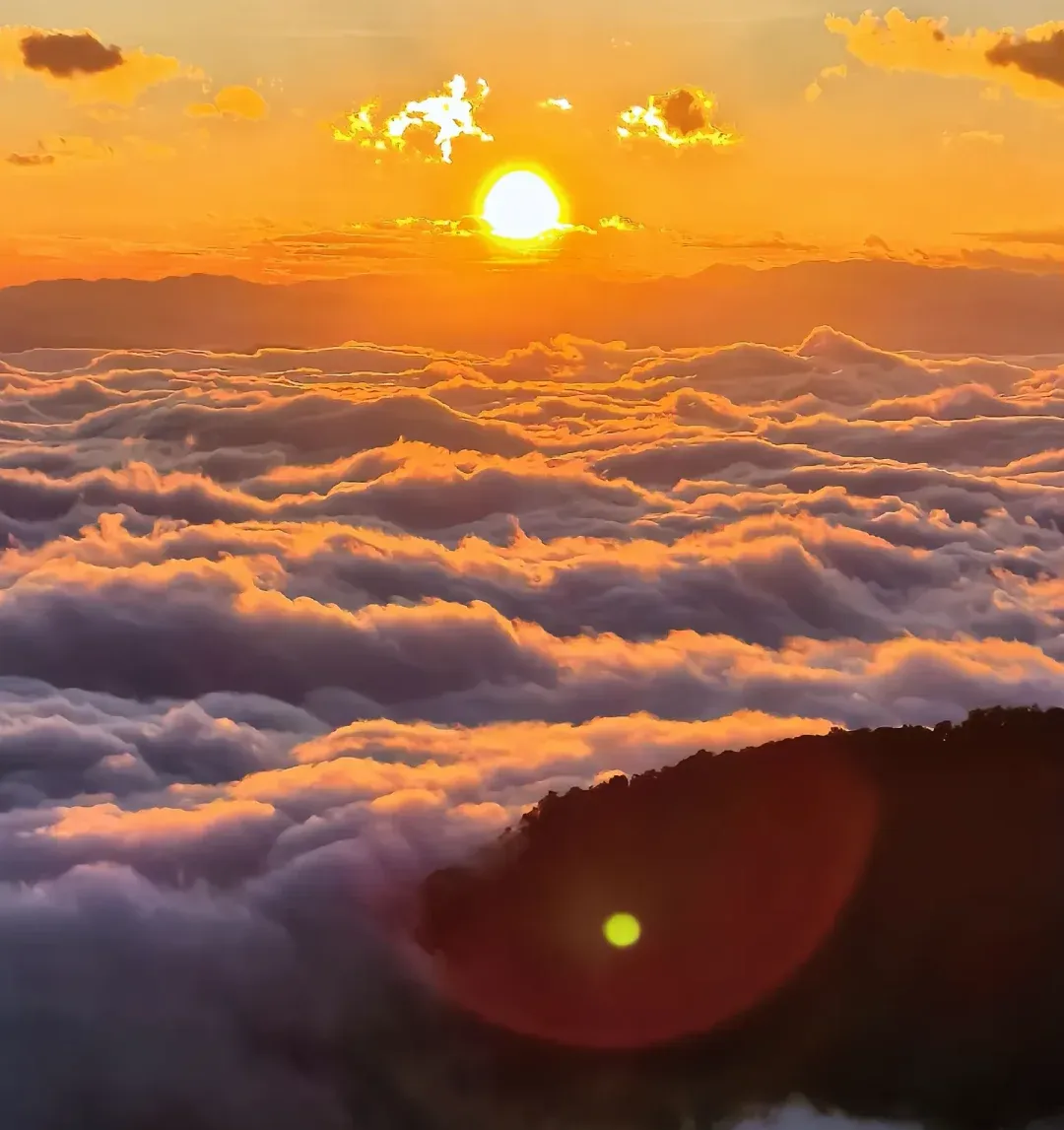 a9149a291c495ab7ef4db076c2a7287e-sz_1217308 a9149a291c495ab7ef4db076c2a7287e-sz_1217308