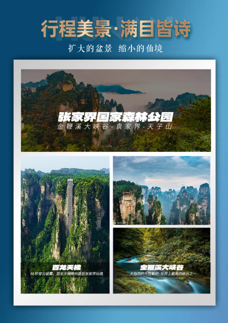 a9314b99fee740e68082625f61f08585-sz_3565913