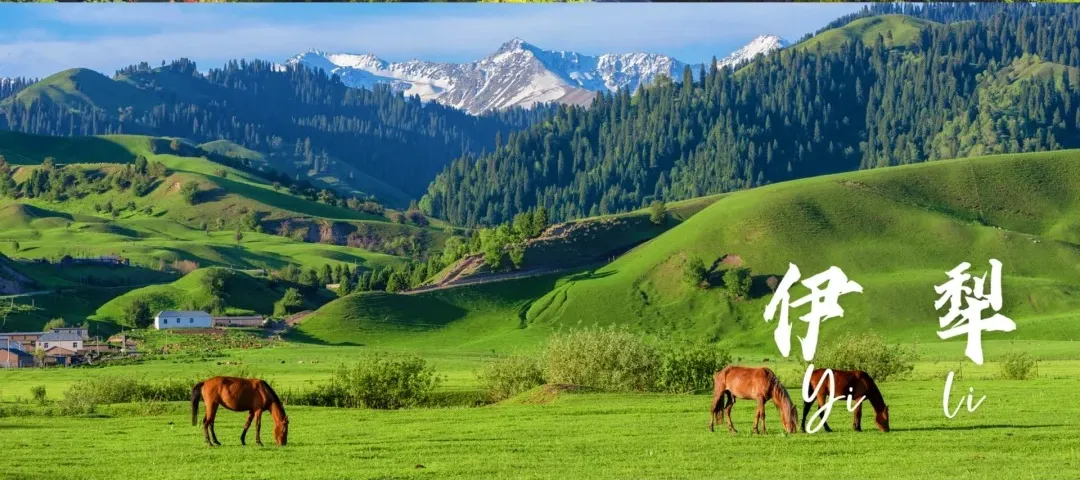 a95e0a164836fc4cbb1318450f13bbf3-sz_620312