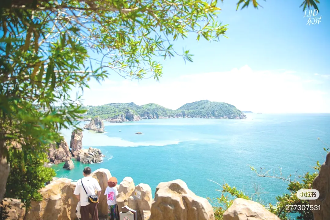 a95e150cd57feda206a658e14f4027b2-sz_310972-1