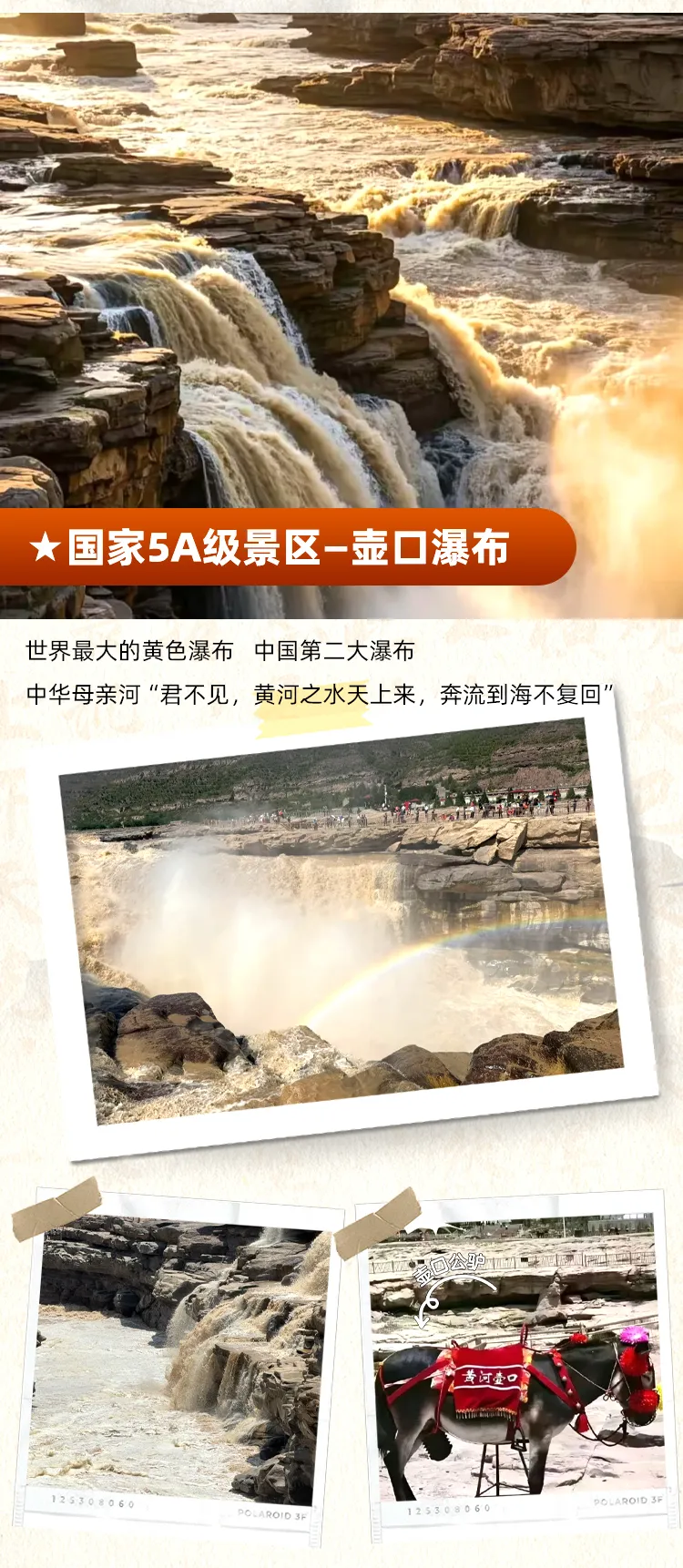 a9ea74f5eb44563bdcad2a38d4ba09dc-sz_1105261-3