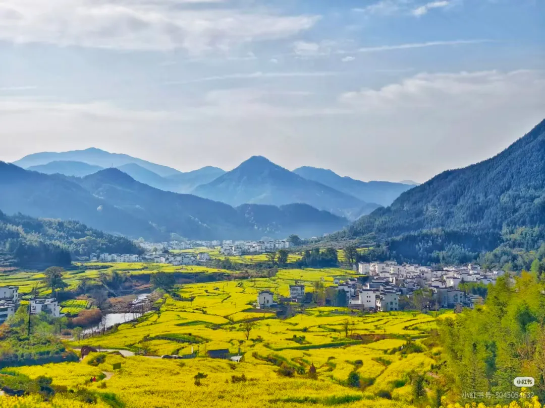 a9f82f9650b2877e203dd174a230906f-sz_2053093