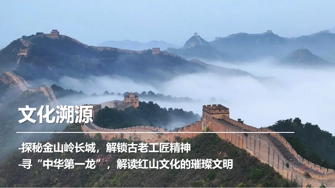 aa9fb3a00f97877a767ad06b8b7effcc-sz_1099000