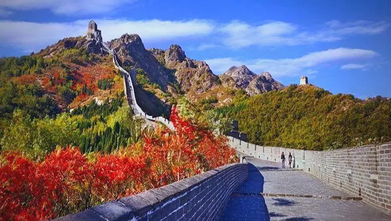 ab1c84e5eb58110862d1e4d86633ff53-sz_89457