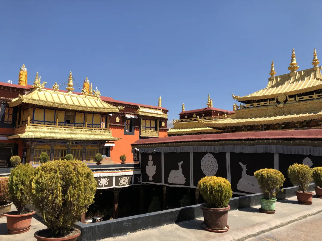 ab4842e74cf799a649b63e87dcccc6f8-sz_3438067