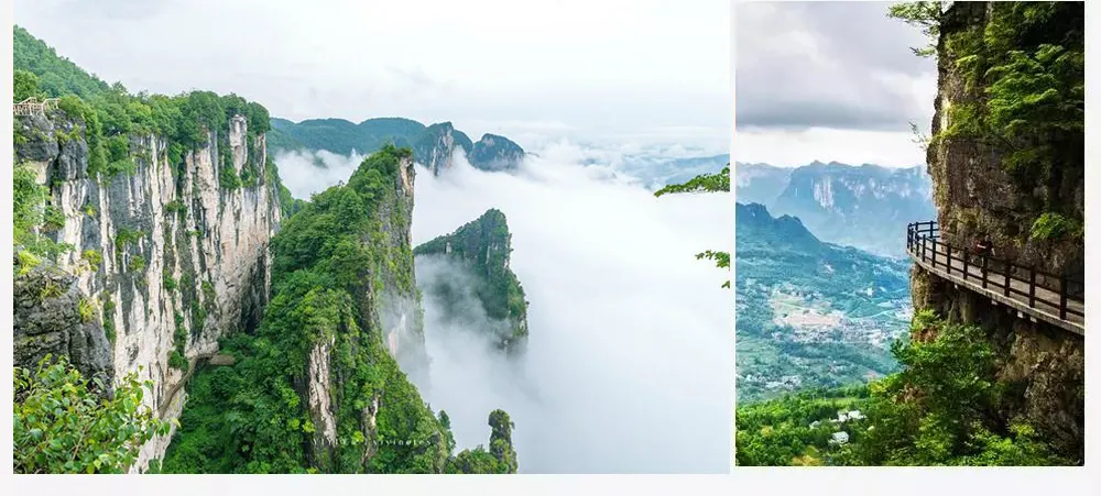 ab88d3b479cdab9235ab7c612c80853e-sz_683503-1