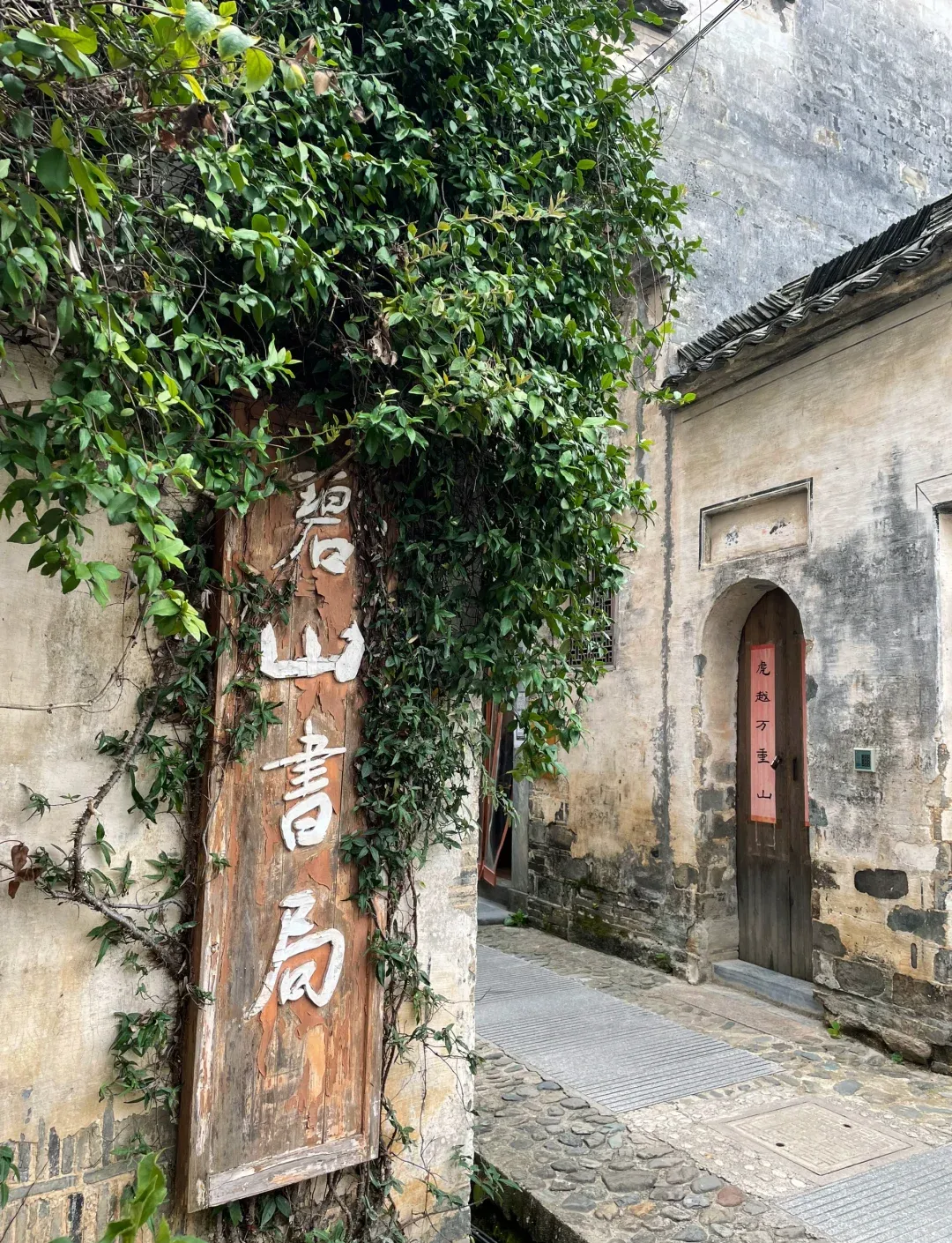 ac2ff32d95f42a66008a6dc160be7cf2-sz_3525380