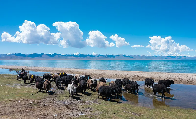 ac3c2f83b2848d69c7f779ff8fcbde82-sz_729322