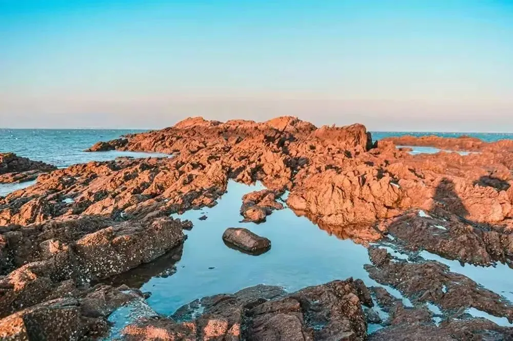 ad0a958c09d4daba2e9f67104d47e760-sz_131026