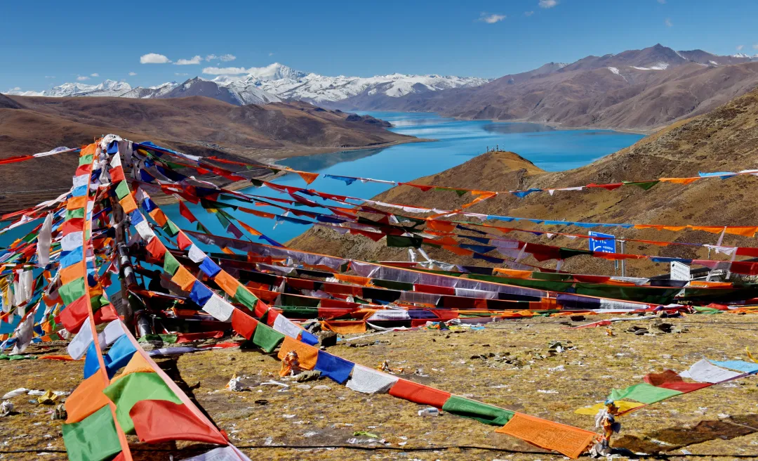 ad115d79ecbea7171b62ef7bbd843855-sz_2617904-1