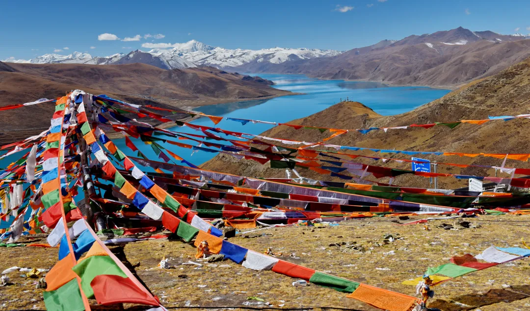 ad115d79ecbea7171b62ef7bbd843855-sz_2617904