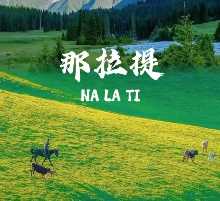 ad8c9f9d4432c0b4aa4095453d942825-sz_1373699