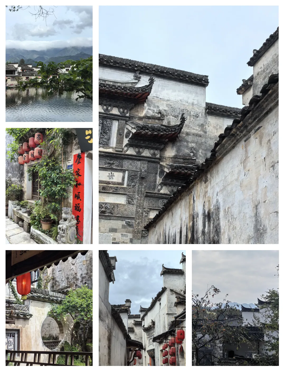 ada59ad68652973bd987e2a6c75876cd-sz_2455889