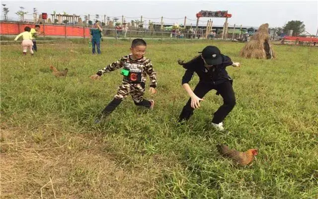 aed7080f4edbcf0d9ce6036ce53c19dd-sz_67096-1