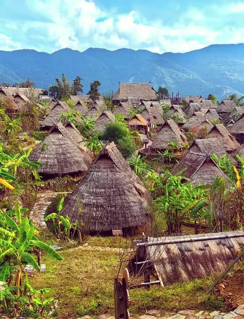 aeeb6f64f5be2082446089a35a70ddb4-sz_100219-1