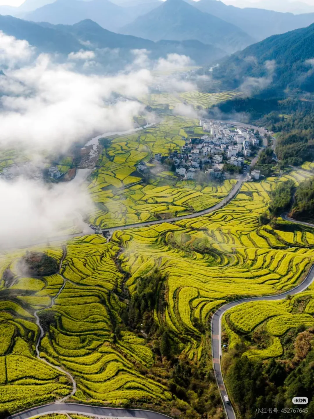 499纯玩-金色梯田❤️江岭❤️现实魔法世界❤️天然氧吧】 康养4日游