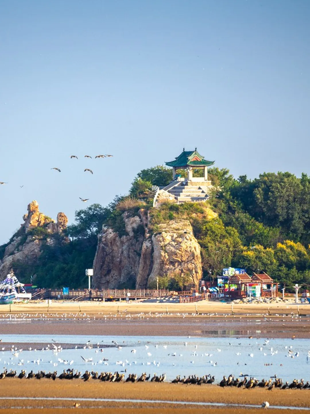 af9a1ec983a0569860748cf087979cab-sz_780238