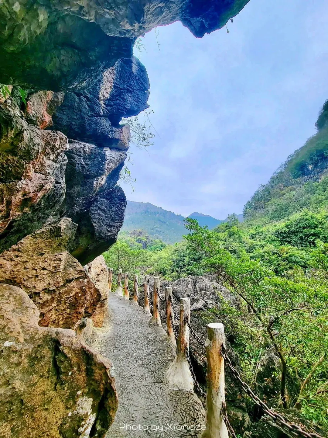 b028633907ccc5d2ad9453a7d3e6d249-sz_446609