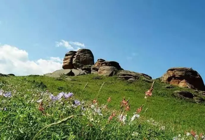 b096a6fafc6a2208d7a1a0c228228744-sz_67431