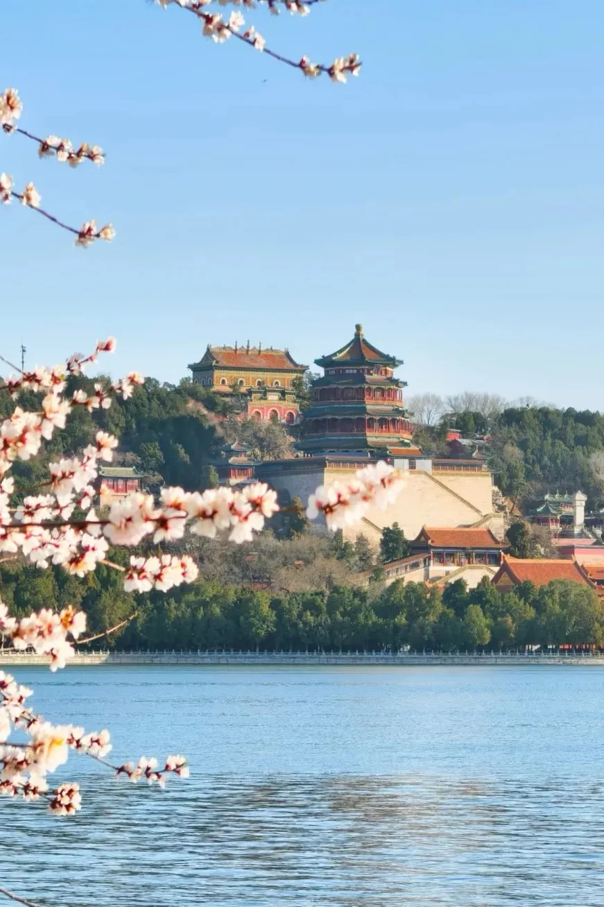 b0e3534f472d08ce3ebf532cf8d17be7-sz_332423-1