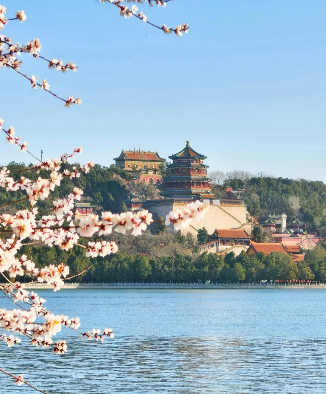 b0e3534f472d08ce3ebf532cf8d17be7-sz_332423-2