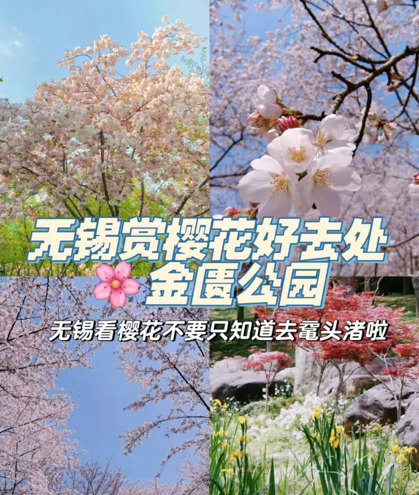 b13020788d3c5b81a03c851a5adfcdbf-sz_1622924