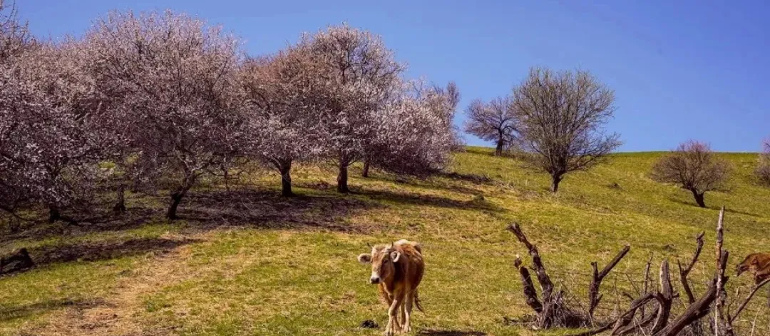 b138448729b1ad80eed56d0a5237048f-sz_675623