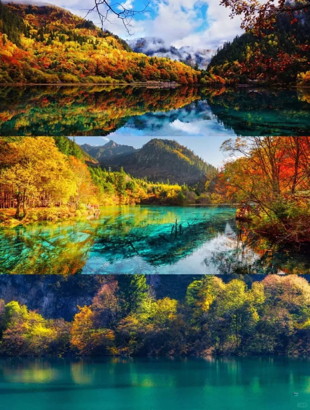 b176aee5bccd2f364c6cbef6910a44e5-sz_4042776-5