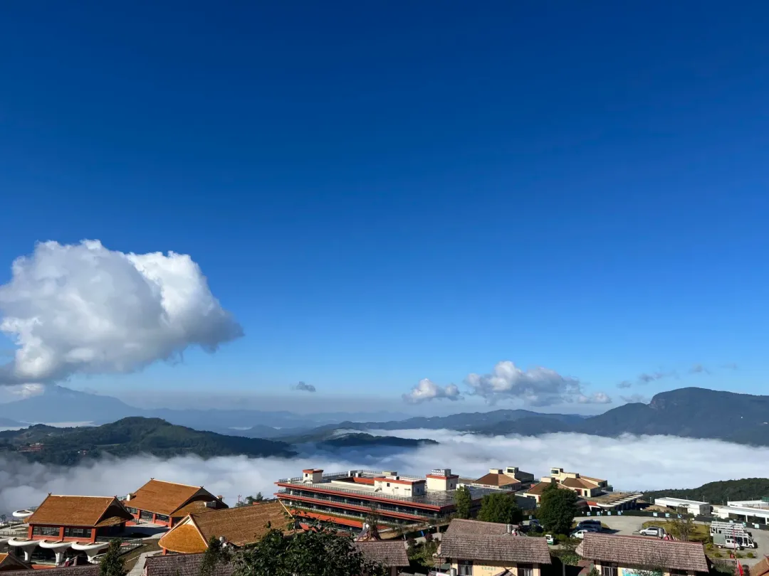 b1961a237f53fafd033218c601824e72-sz_1233618-1