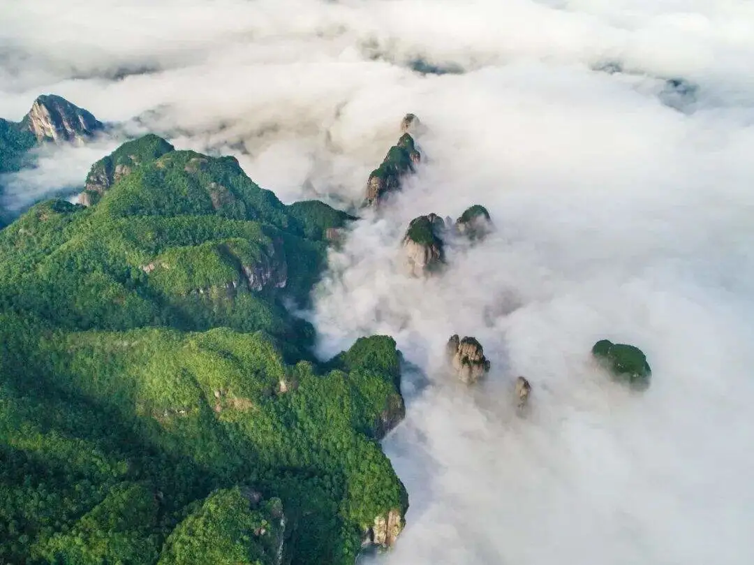 b1daead4837fa26947a7952729f8db2c-sz_89751