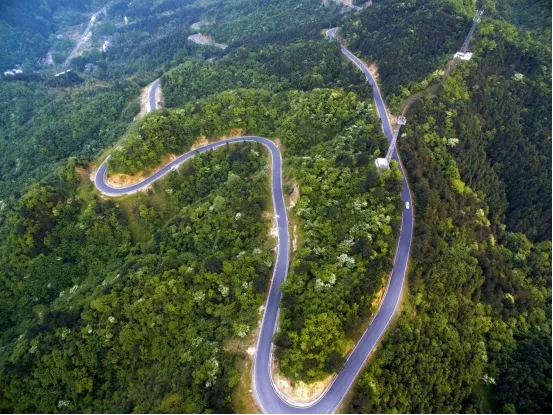 b20f7e4e944f24c7a49abc8661215318-sz_563071