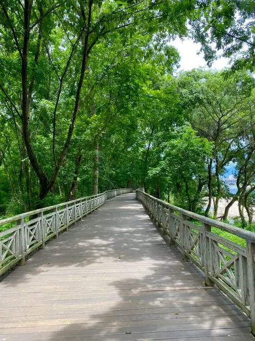 b23e27b6828243bcb9419a2c1759841c-sz_98090