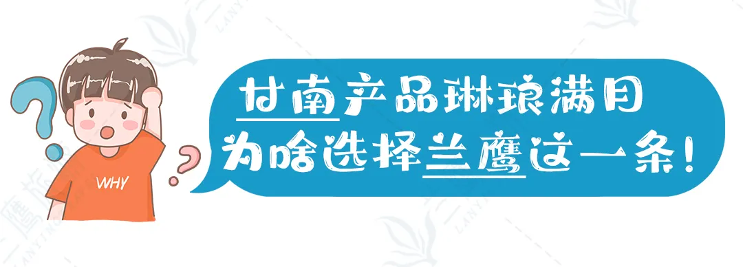 b2fb8c9b916a299039da13125d6a8f2f-sz_205080