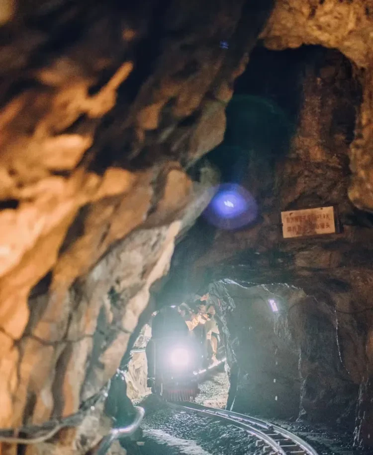 b3002f0f95b830fb25d5555613118f76-sz_1218882