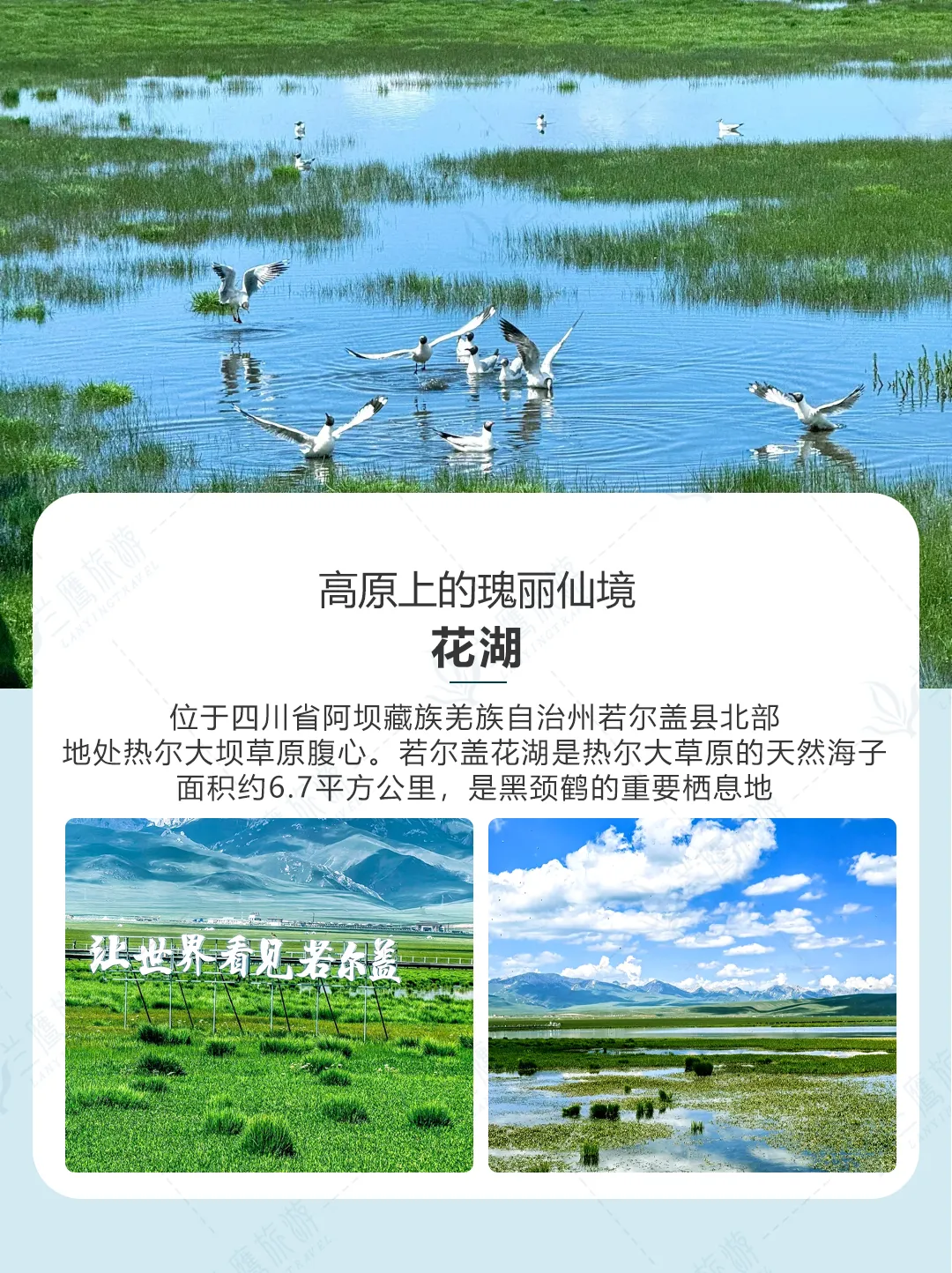 ￥2299起【甘南陇南·四月秒杀】双飞8日游• 升级1晚网评4钻+3晚3钻酒店•2+1头等舱