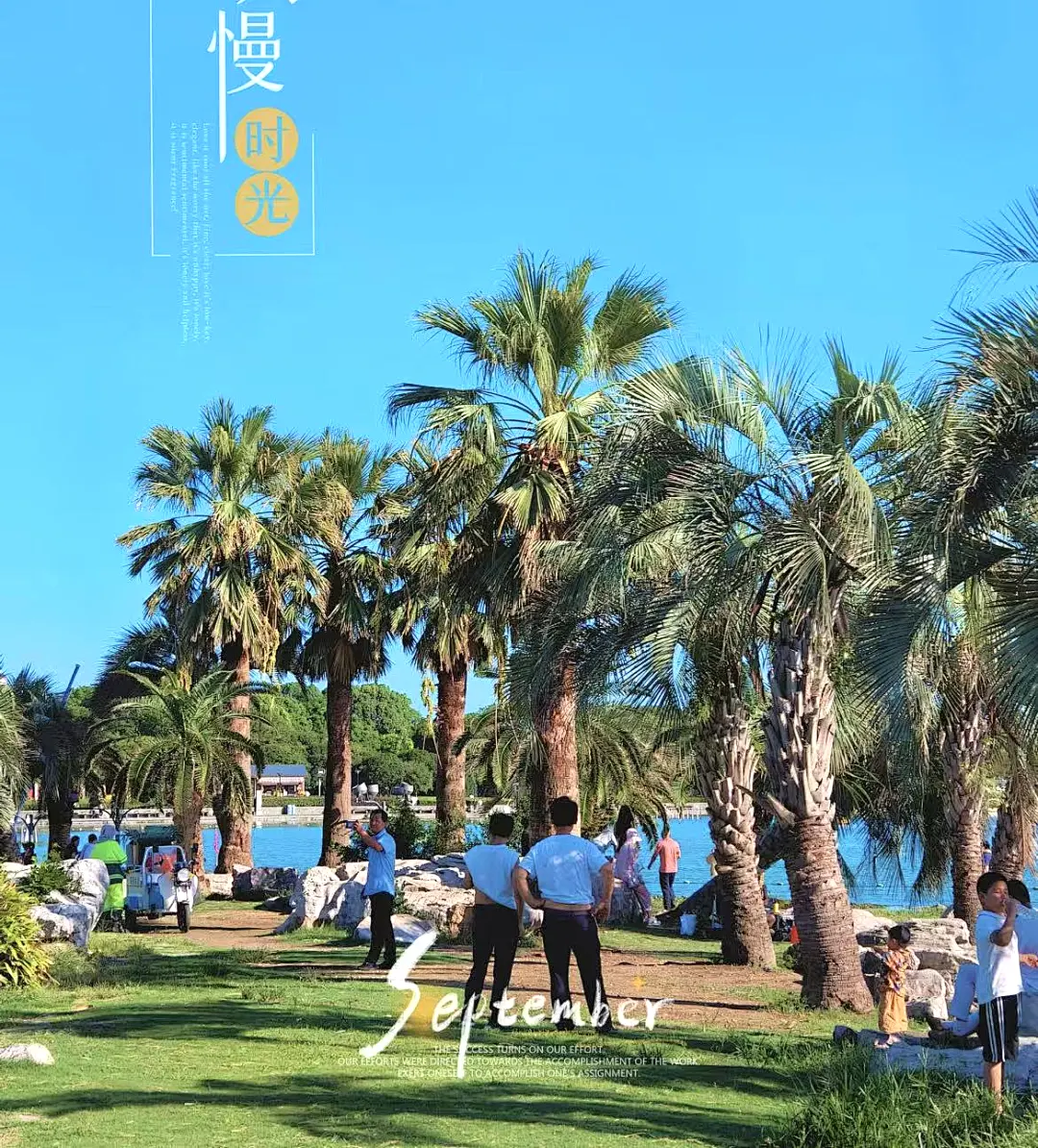 b3bed46b91d2693327827e910562930d-sz_351317